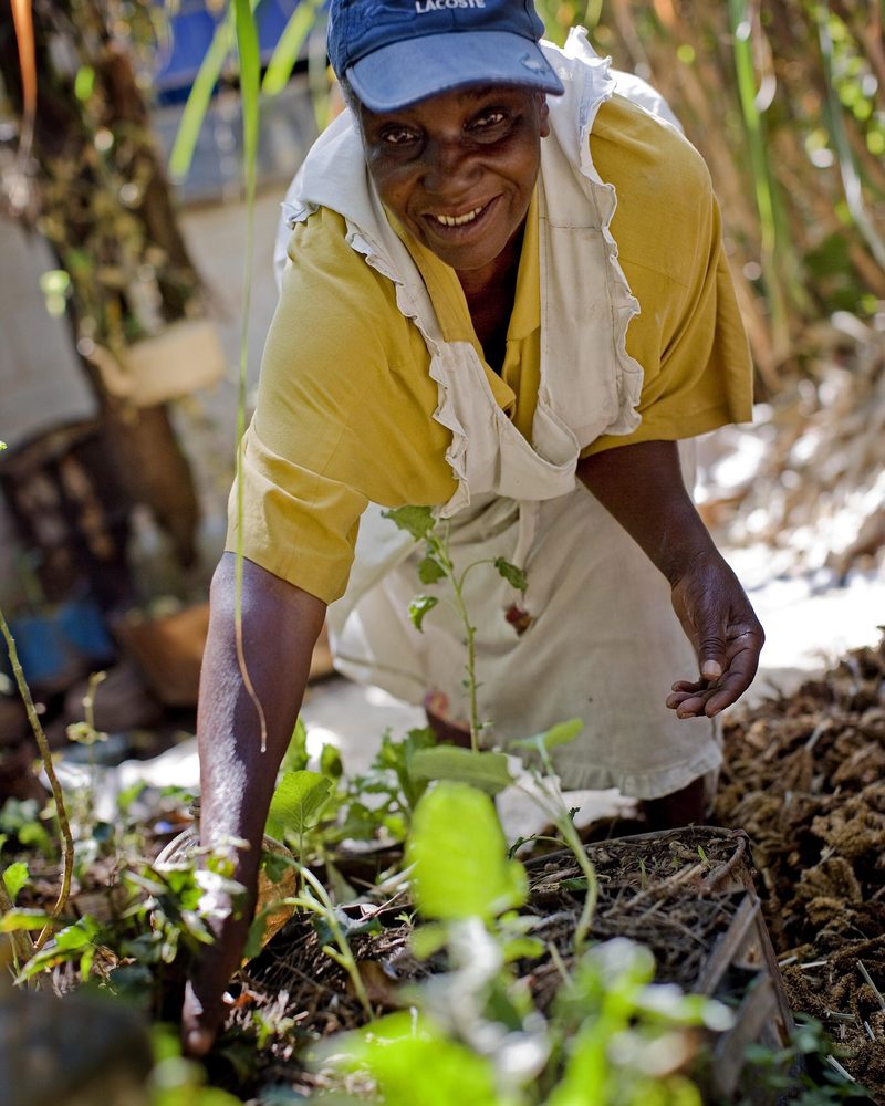 A grower tending crops in the field