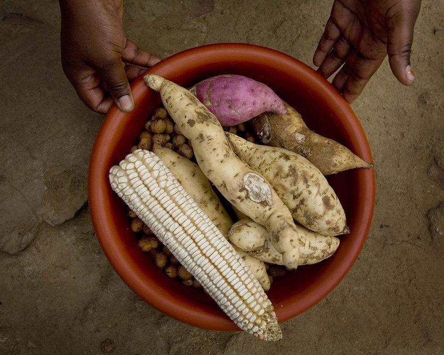Maize, sweet potatoes and groundnuts in a bowl
