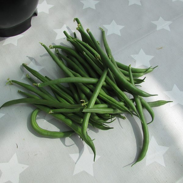 Cut green beans