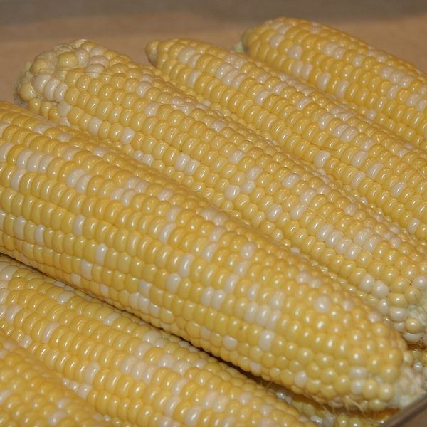 Sweetcorn kernels