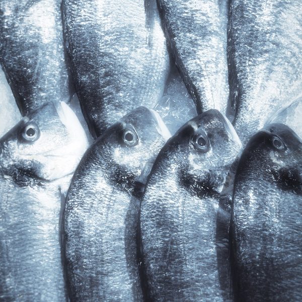Whole fish
